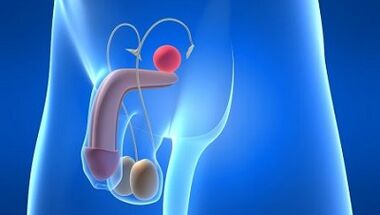 Mazání u mužů během vzrušení, co to je